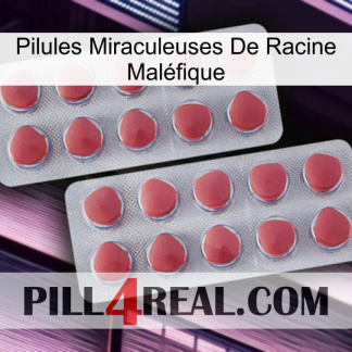 Pilules Miraculeuses De Racine Maléfique 19